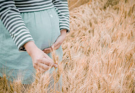 Happy family: a young beautiful pregnant woman walking in the wheat orange barley field on a sunny summer day.の写真素材