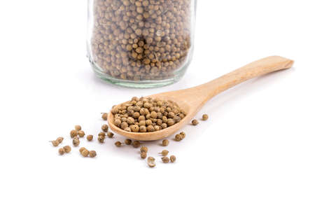 coriander seeds in a wooden spoon on white background.の写真素材
