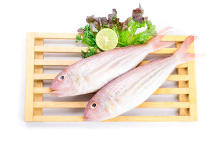 Fish with Vegetables on white background.の写真素材
