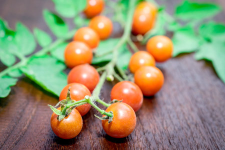 Organic tomatoes on old wooden floorの写真素材