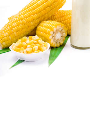 Corn isolated on a white backgroundの写真素材