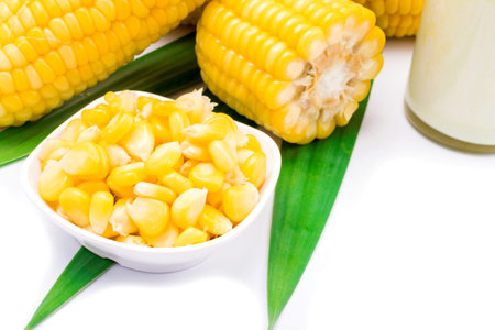 Corn isolated on a white background