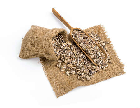 Sunflower seeds isolated on white backgroundの写真素材