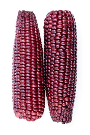 purple corn on a white backgroundの写真素材