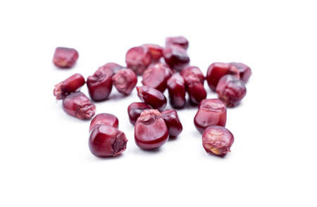 purple corn on a white backgroundの写真素材