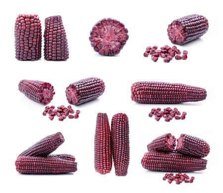 purple corn set on a white backgroundの写真素材