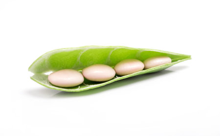 String beans isolated on white backgroundの写真素材