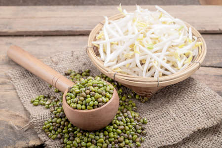 Bowl with Mungbean Sprouts on wooden backgroundの写真素材