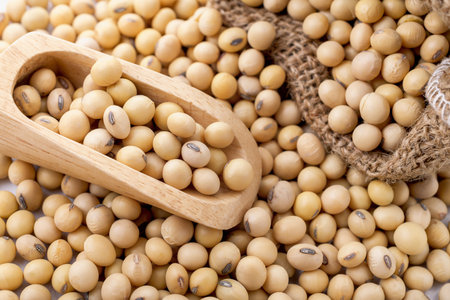 closeup is some soybeans with wooden spoonの写真素材