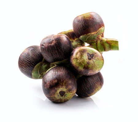 Asian Palmyra palm, fruit on white background.の写真素材