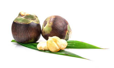 Asian Palmyra palm, fruit on white background.