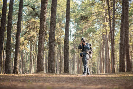 Nature photographer taking photos in the jungleの写真素材