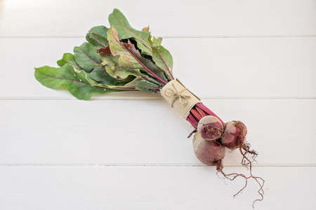 Fresh beet leaves on a white wooden table.の写真素材