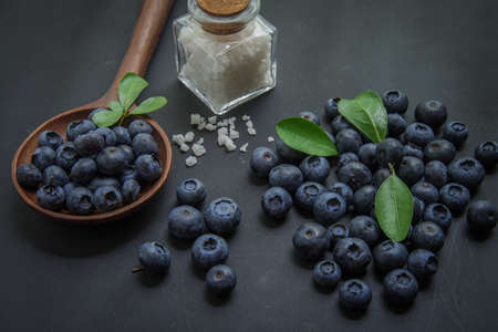 blueberries on black backgroundの写真素材