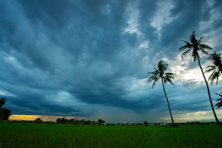 The evening sky before the storm.Clouds on a sunset on the blue sky background