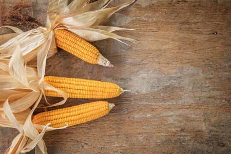 Dried corn on wood backgroundの写真素材