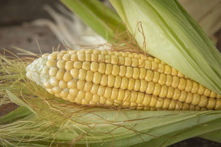 fresh corn on wooden table, Fresh organic yellow sweet corn on wooden table.の写真素材
