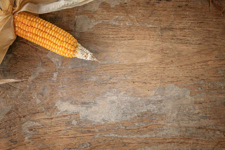 Dried corn on wood backgroundの写真素材
