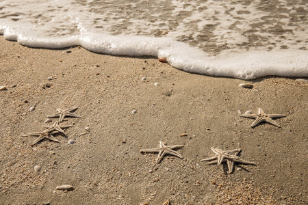 Starfish and soft wave on the sandy beach