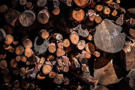 Natural wooden background - closeup of chopped firewood. Firewood stacked and prepared for winter Pile of wood logsの写真素材