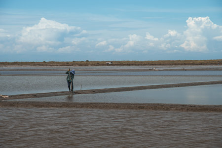 The salt farm It is a salt production is one of a great wide industry
