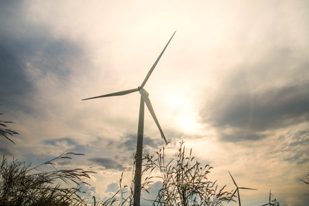 Windmills for electric power production, Thailand.