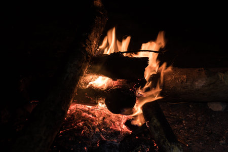 fire in nature . Bonfire in the forest