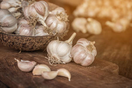 Garlic bulbs. Fresh garlic with  on wood board.の写真素材