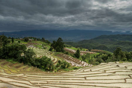 Terraced Paddy Field in Mae-Jam Village , Chiang Mai Province , Thailandの写真素材