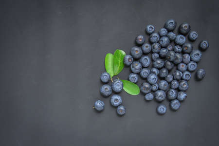 blueberries on black backgroundの写真素材