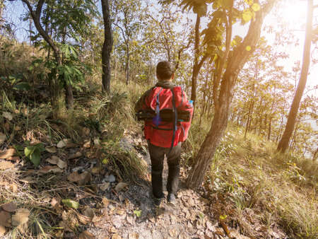 Man backpack walks into the forest, A hiker with backpack is walking in the autumn forest on a sunny day.の写真素材