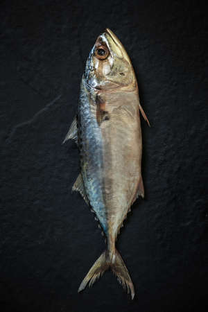 Fresh, raw mackerel on a black background. Top view .の写真素材
