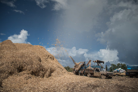 The milling of corn by farmers in the North of Thailand, Corn mill