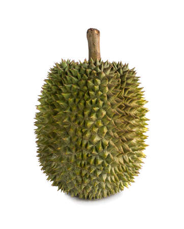 King of fruits, durian on white background.の写真素材