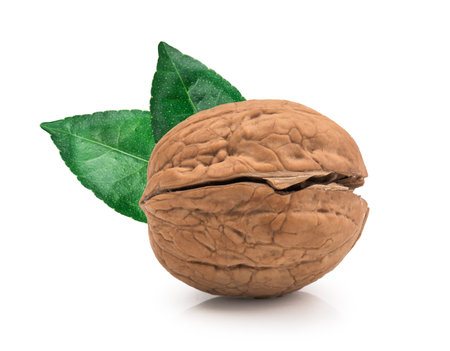 Walnut isolated on white background. With clipping path.