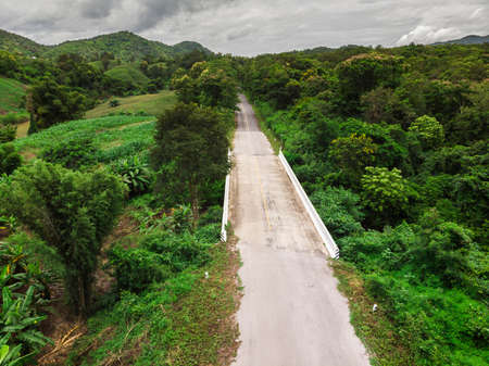 Corn industry on the Mountain in Thailand, Corn field under beautiful dark blue skyの写真素材