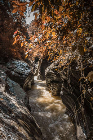 View of a beautiful autumn creek in Wangsirareng Nan Thailand.の写真素材
