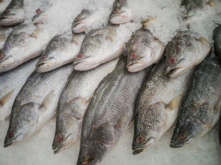 Fresh fish in the market, Thailand.の写真素材