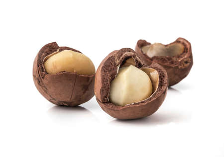 macadamia nuts on white background.の写真素材