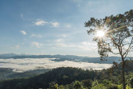 Landscape of Morning Mist with Mountain Layer at Mae Yom National Park, Phrae province, north of Thailand.の写真素材