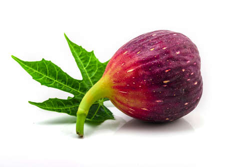Fig isolated on white background, Fruits figs with fig leaves on white background.の写真素材