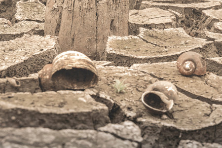Climate change and drought land, Part of a Huge Area of Dried Land Suffering from Drought - in...