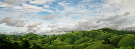 Rural landscape, Field of corn ready for harvest in the background the mountains with blue Sky with clouds.の写真素材