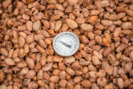 Temperature measurement of cocoa beans fermented in wooden barrels, to maintain the quality of cocoa...