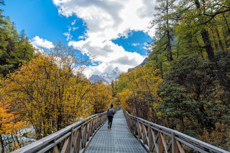 Nature landscape image, Doacheng Yading National park, Sichuan, China. Last Shangri-la hight 4,600 meter from sea level. Itâs beutiful place field, Snow mountain, Lake and very cold weatherの写真素材