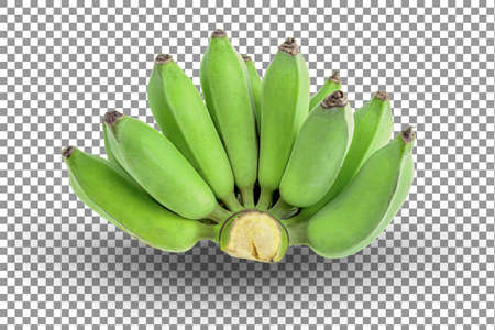 green bananas on alpha layer backgroundの写真素材