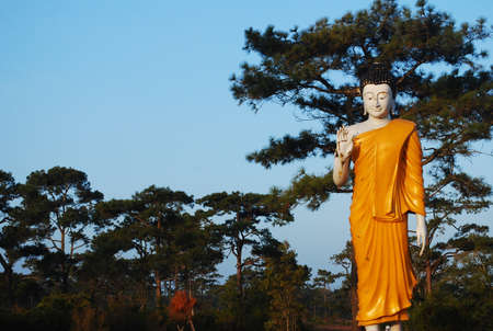 Buddha statueの写真素材