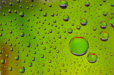 water drop on green backgroundの写真素材