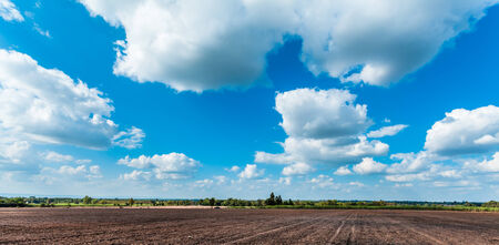 black plowed and green fields under cloudy skyの写真素材