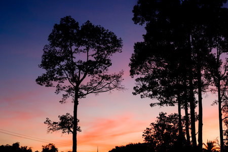 The beauty of nature